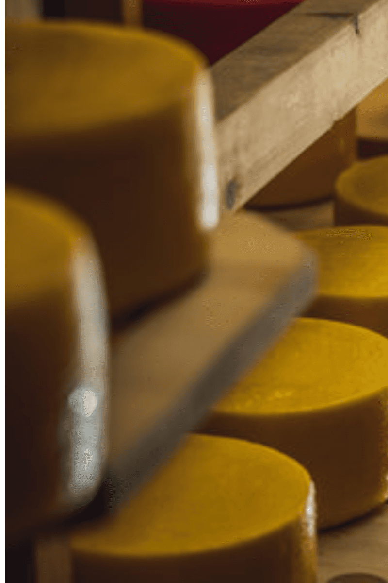 Meules de cheddar anglais affiné en cave, sélection CRISPY SOUL